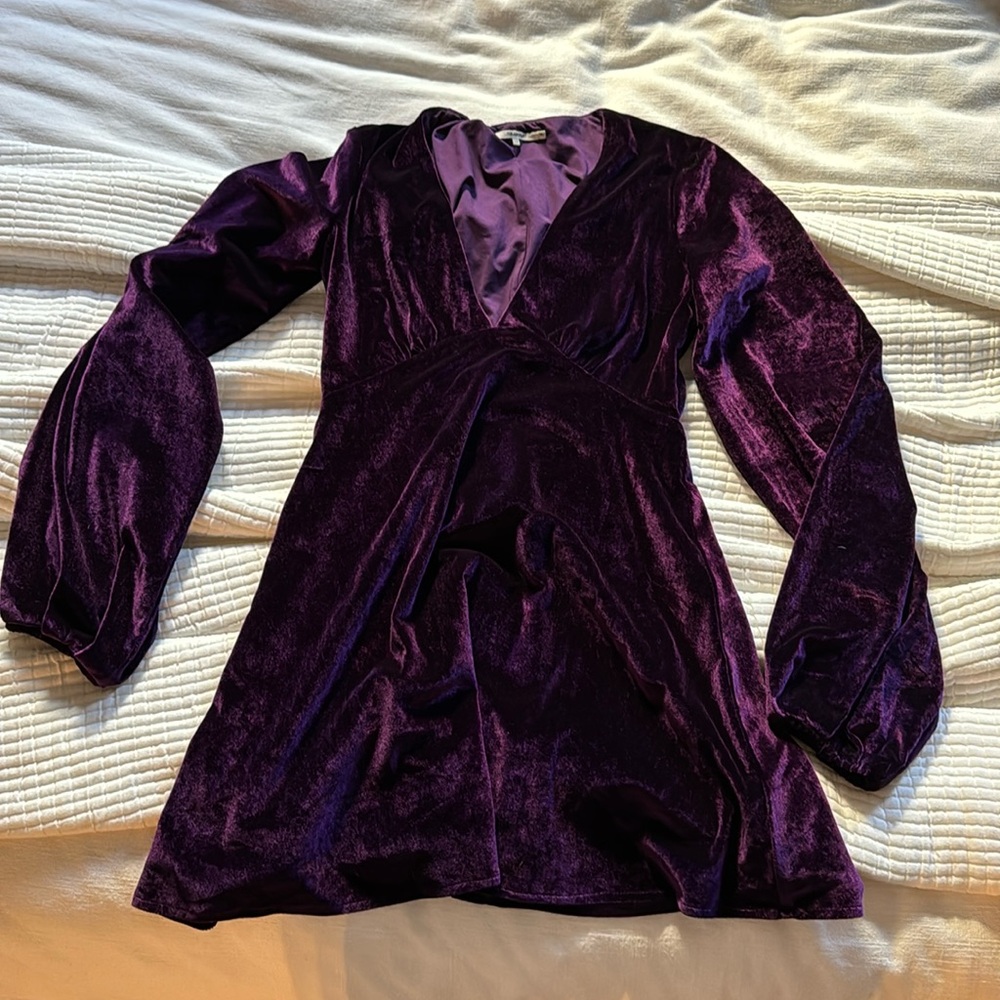 NWOT purple velvet skater dress